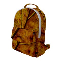 Leaf Leaf Veins Fall Flap Pocket Backpack (large) by artworkshop