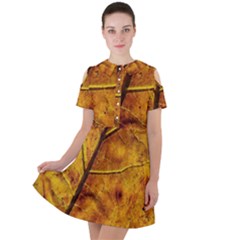 Leaf Leaf Veins Fall Short Sleeve Shoulder Cut Out Dress  by artworkshop