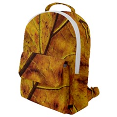 Leaf Leaf Veins Fall Flap Pocket Backpack (small) by artworkshop