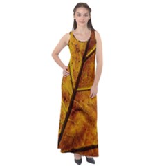 Leaf Leaf Veins Fall Sleeveless Velour Maxi Dress by artworkshop