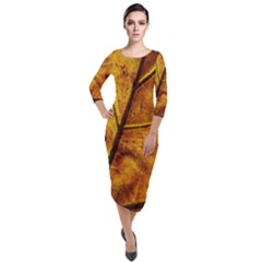 Leaf Leaf Veins Fall Quarter Sleeve Midi Velour Bodycon Dress by artworkshop