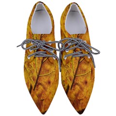 Leaf Leaf Veins Fall Pointed Oxford Shoes by artworkshop