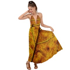 Leaf Leaf Veins Fall Backless Maxi Beach Dress by artworkshop