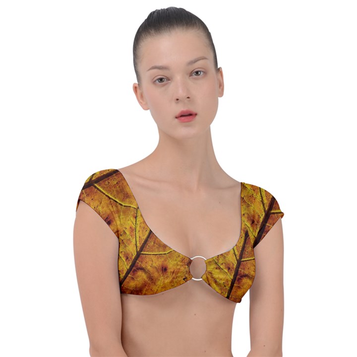 Leaf Leaf Veins Fall Cap Sleeve Ring Bikini Top