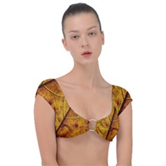 Leaf Leaf Veins Fall Cap Sleeve Ring Bikini Top by artworkshop