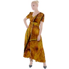 Leaf Leaf Veins Fall Button Up Short Sleeve Maxi Dress by artworkshop