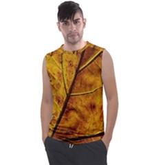 Leaf Leaf Veins Fall Men s Regular Tank Top by artworkshop