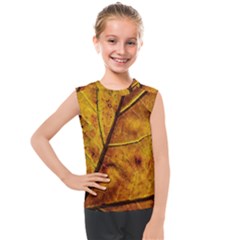 Leaf Leaf Veins Fall Kids  Mesh Tank Top by artworkshop