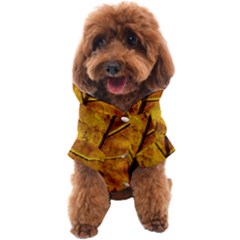 Leaf Leaf Veins Fall Dog Coat by artworkshop