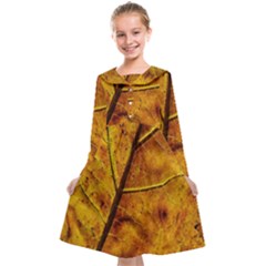 Leaf Leaf Veins Fall Kids  Midi Sailor Dress by artworkshop