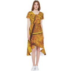 Leaf Leaf Veins Fall High Low Boho Dress by artworkshop