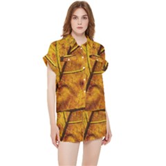 Leaf Leaf Veins Fall Chiffon Lounge Set