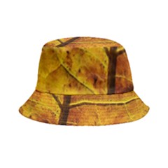 Leaf Leaf Veins Fall Bucket Hat by artworkshop