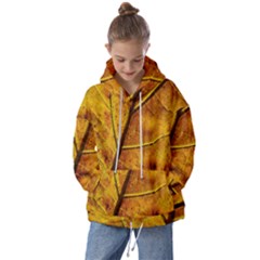 Leaf Leaf Veins Fall Kids  Oversized Hoodie by artworkshop