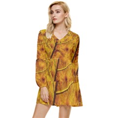 Leaf Leaf Veins Fall Tiered Long Sleeve Mini Dress by artworkshop