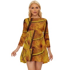 Leaf Leaf Veins Fall Long Sleeve Babydoll Dress by artworkshop