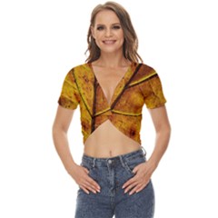 Leaf Leaf Veins Fall Twist Front Crop Top by artworkshop