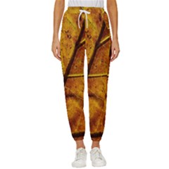 Leaf Leaf Veins Fall Cropped Drawstring Pants by artworkshop