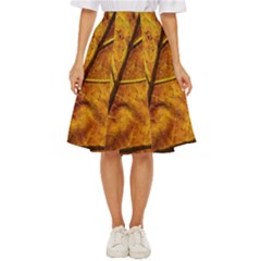 Leaf Leaf Veins Fall Classic Short Skirt by artworkshop