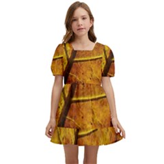 Leaf Leaf Veins Fall Kids  Short Sleeve Dolly Dress by artworkshop