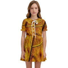 Leaf Leaf Veins Fall Kids  Sweet Collar Dress by artworkshop