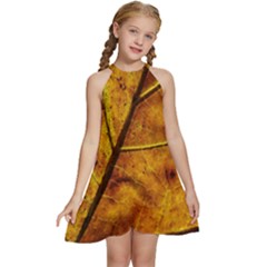 Leaf Leaf Veins Fall Kids  Halter Collar Waist Tie Chiffon Dress by artworkshop