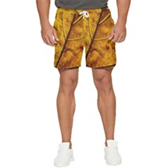 Leaf Leaf Veins Fall Men s Runner Shorts by artworkshop