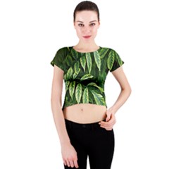 Leaves Foliage Twig Bush Plant Crew Neck Crop Top by artworkshop