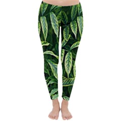 Leaves Foliage Twig Bush Plant Classic Winter Leggings by artworkshop