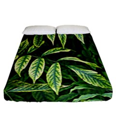 Leaves Foliage Twig Bush Plant Fitted Sheet (queen Size) by artworkshop