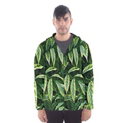 Leaves Foliage Twig Bush Plant Men s Hooded Windbreaker by artworkshop