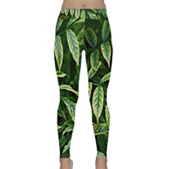 Leaves Foliage Twig Bush Plant Classic Yoga Leggings by artworkshop