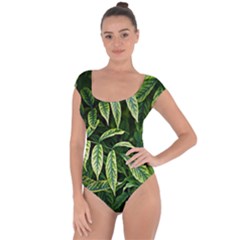 Leaves Foliage Twig Bush Plant Short Sleeve Leotard  by artworkshop