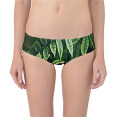 Leaves Foliage Twig Bush Plant Classic Bikini Bottoms by artworkshop