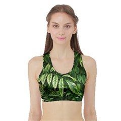 Leaves Foliage Twig Bush Plant Sports Bra With Border by artworkshop