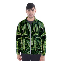 Leaves Foliage Twig Bush Plant Men s Windbreaker by artworkshop