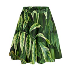 Leaves Foliage Twig Bush Plant High Waist Skirt by artworkshop