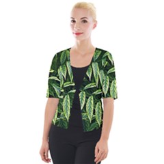 Leaves Foliage Twig Bush Plant Cropped Button Cardigan by artworkshop