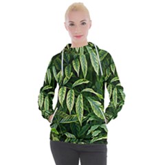 Leaves Foliage Twig Bush Plant Women s Hooded Pullover by artworkshop