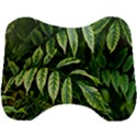 Leaves Foliage Twig Bush Plant Head Support Cushion View1