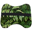 Leaves Foliage Twig Bush Plant Head Support Cushion View2