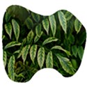 Leaves Foliage Twig Bush Plant Head Support Cushion View3