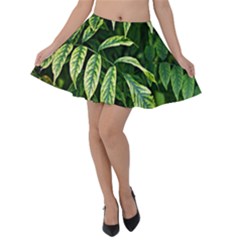 Leaves Foliage Twig Bush Plant Velvet Skater Skirt by artworkshop