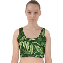 Leaves Foliage Twig Bush Plant Velvet Racer Back Crop Top by artworkshop