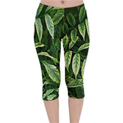 Leaves Foliage Twig Bush Plant Velvet Capri Leggings  by artworkshop