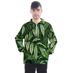 Leaves Foliage Twig Bush Plant Men s Half Zip Pullover by artworkshop