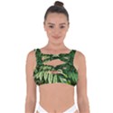 Leaves Foliage Twig Bush Plant Bandaged Up Bikini Top View1