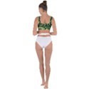 Leaves Foliage Twig Bush Plant Bandaged Up Bikini Top View2