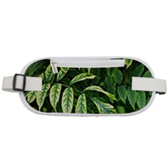 Leaves Foliage Twig Bush Plant Rounded Waist Pouch by artworkshop