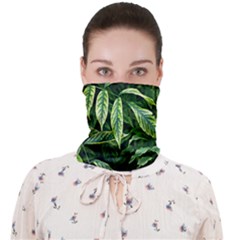 Leaves Foliage Twig Bush Plant Face Covering Bandana (adult) by artworkshop